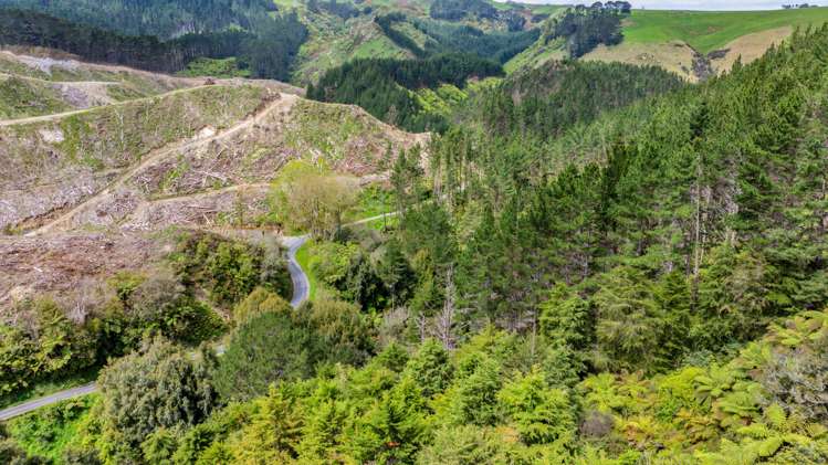 Lot 6 Tangahoe Valley Road Ohangai_3