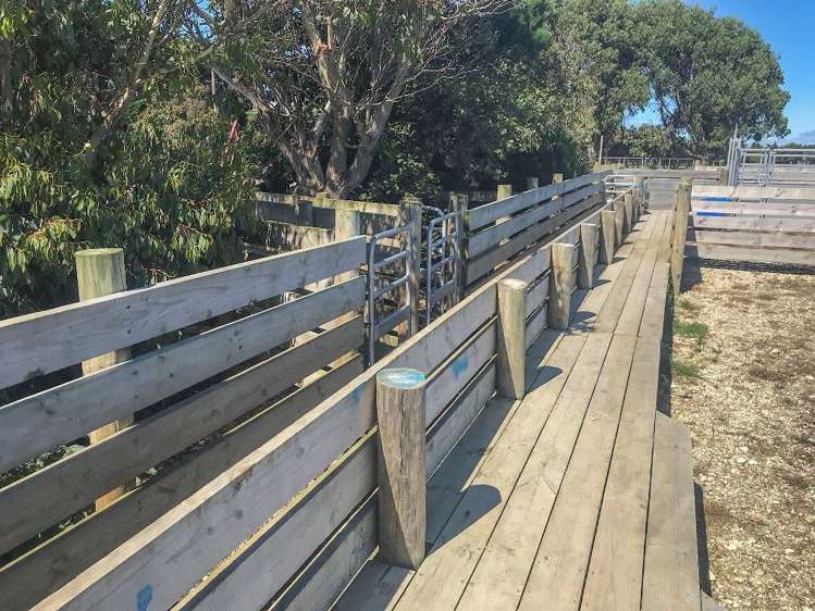 112 Kennington Waimatua Road Kennington_30