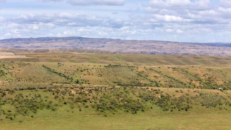 Lot 22 Nelson Ridge Road Alexandra_8