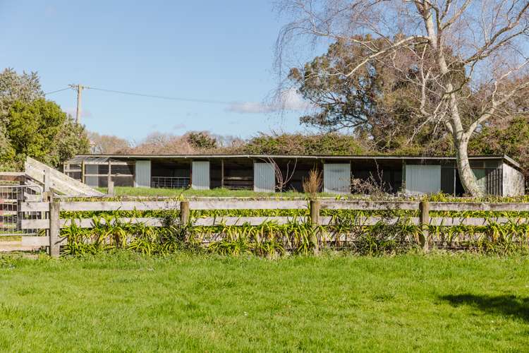 688 Scarborough Road Pahiatua_18