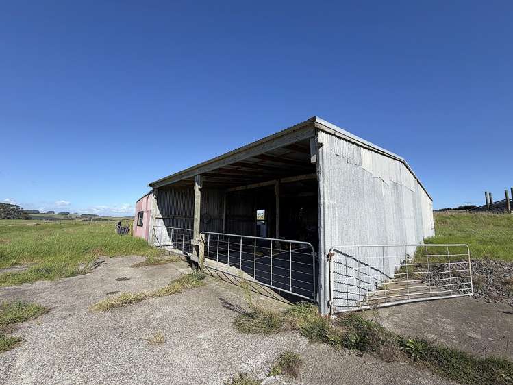 413A Baylys Coast Road Dargaville_16