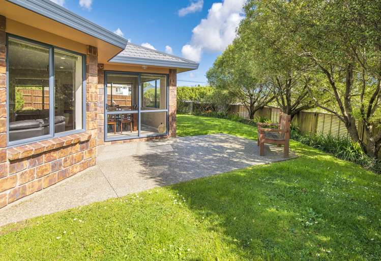 2 Claremont Rise Levin_23