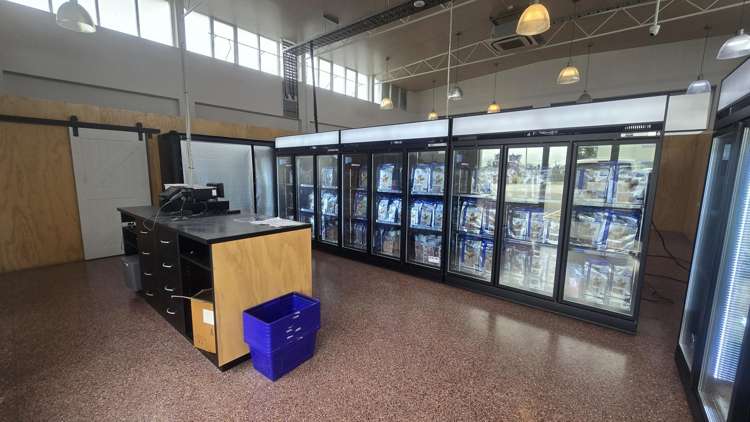 504 Blenheim Road Sockburn_6