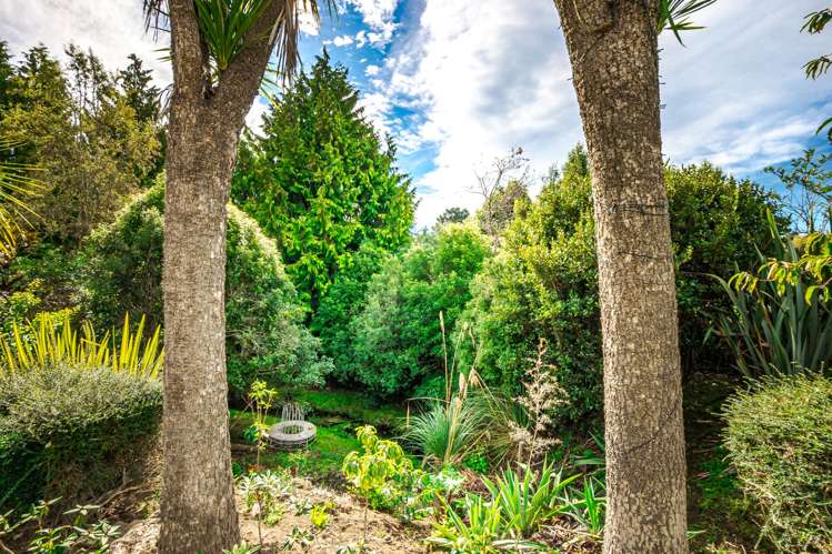 121 Douglas Street Highfield_19