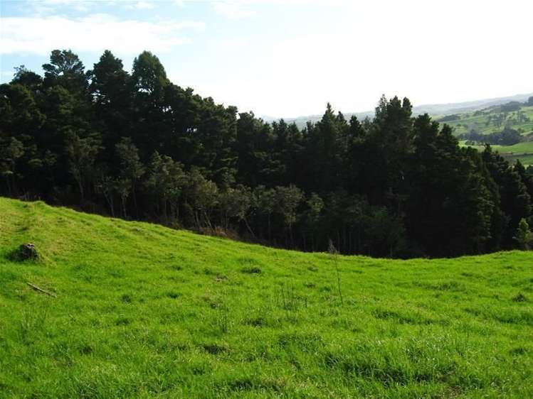 248 Swamp Road Mareretu_9