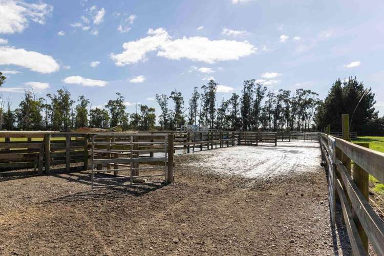 1329 Wards Road Darfield_12