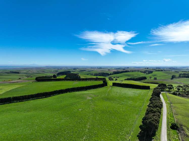 300 Jacks Hill Road Waimahaka_9