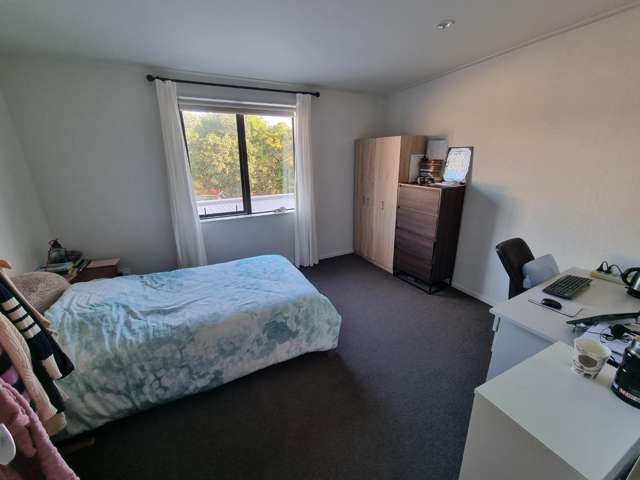 14/1904 Great North Road Avondale_2