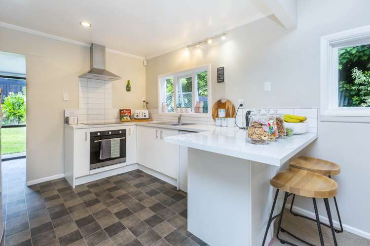 58 Akatarawa Road Brown Owl_7