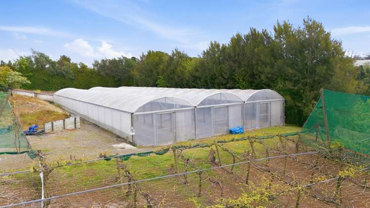 364 Te Matai Road Te Puke_2