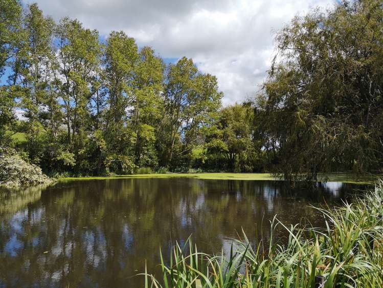 B M Gubb Road Port Albert_18