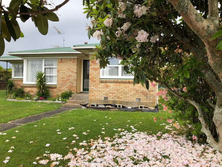 17 Lauriston Street Tokoroa_1