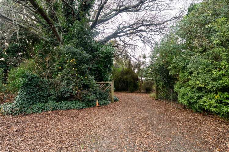 419 Nayland Road Stoke_13
