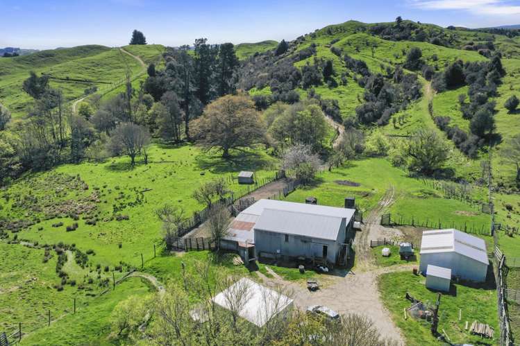 3764 Pohangina Road Utuwai_5