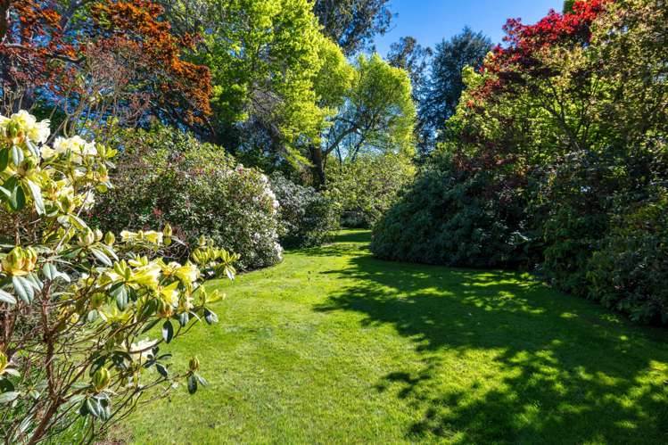 3532 Waimate Highway, Morven Waimate_28