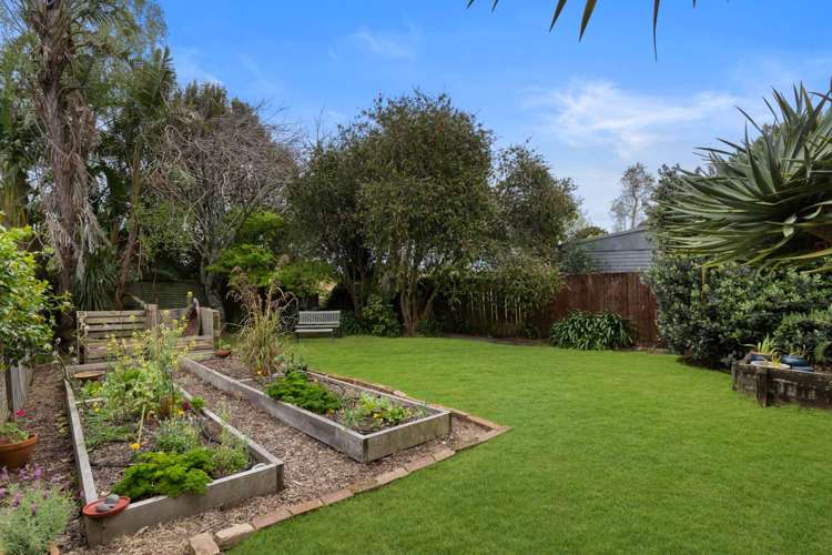 178 Hutchinson Avenue New Lynn_17