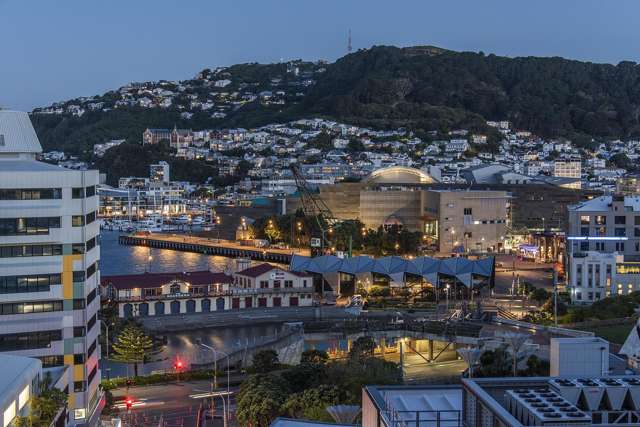 11G/9 Chews Lane Wellington Central_2