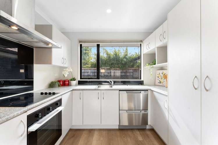 244C Rosebank Road Avondale_15