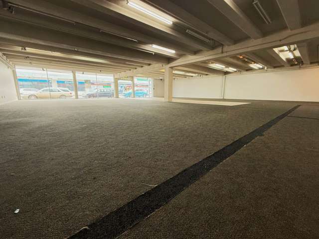 20 Catherine Street Henderson_3