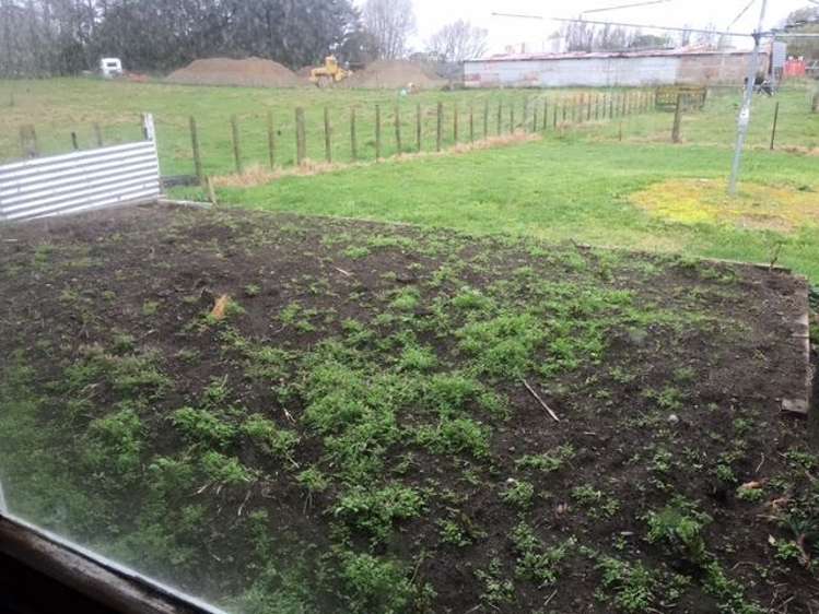 925 Rangiotu Road Rangiotu_16