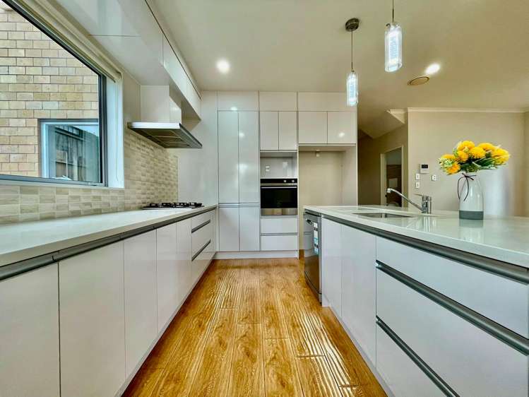 9 Evelina Lane Flat Bush_1