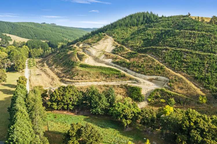 234 Teapot Valley Road Brightwater_10