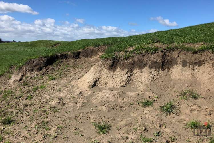 76 Brandon Hall Road Bulls_15