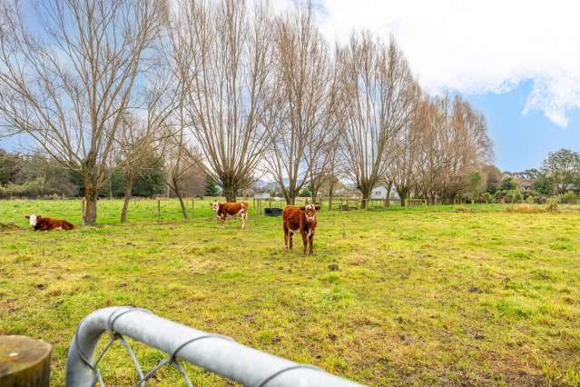 115 Main North Road Geraldine_4
