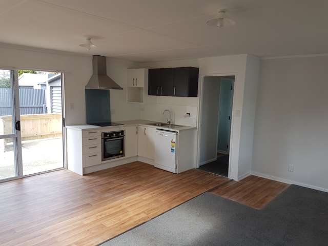 3A Iona Street Hokowhitu_1