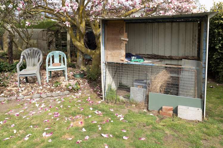 155 Peters Street Hinds_7