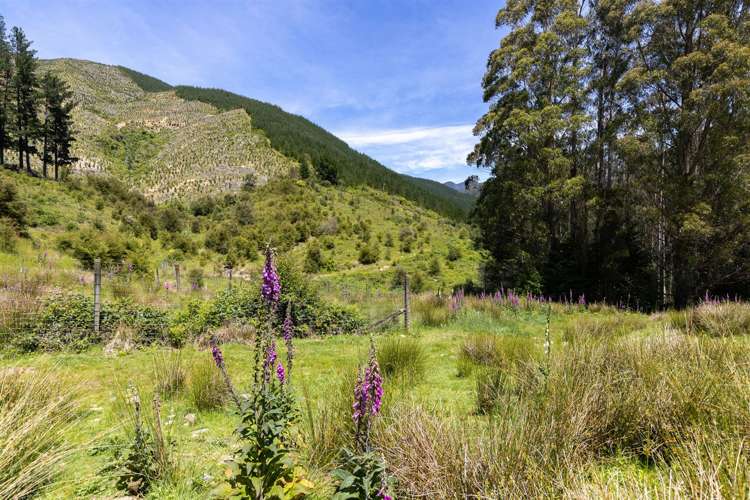 1025 Wakamarina Road Havelock_27