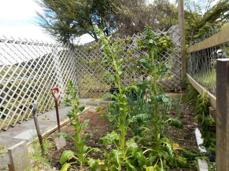 159 Paroa Bay Road Russell_14