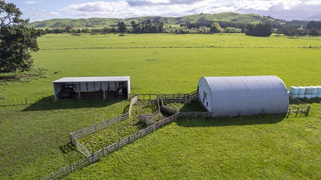 1007 State Highway 2 Masterton_3