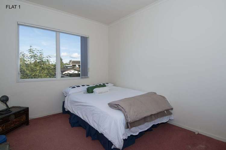 16b Balmoral Terrace Otumoetai_9