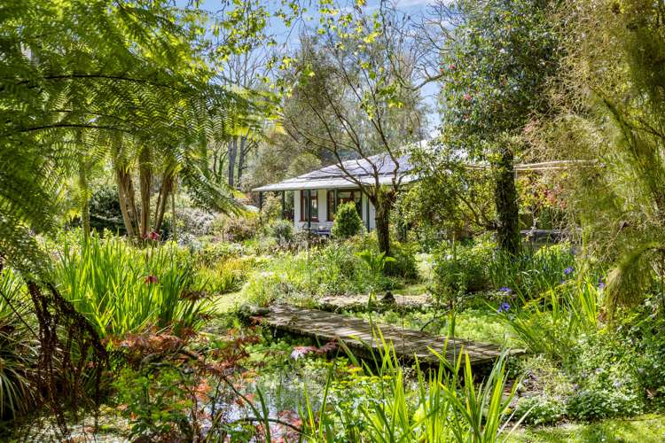 1830 Otaraoa Road Tarata_8