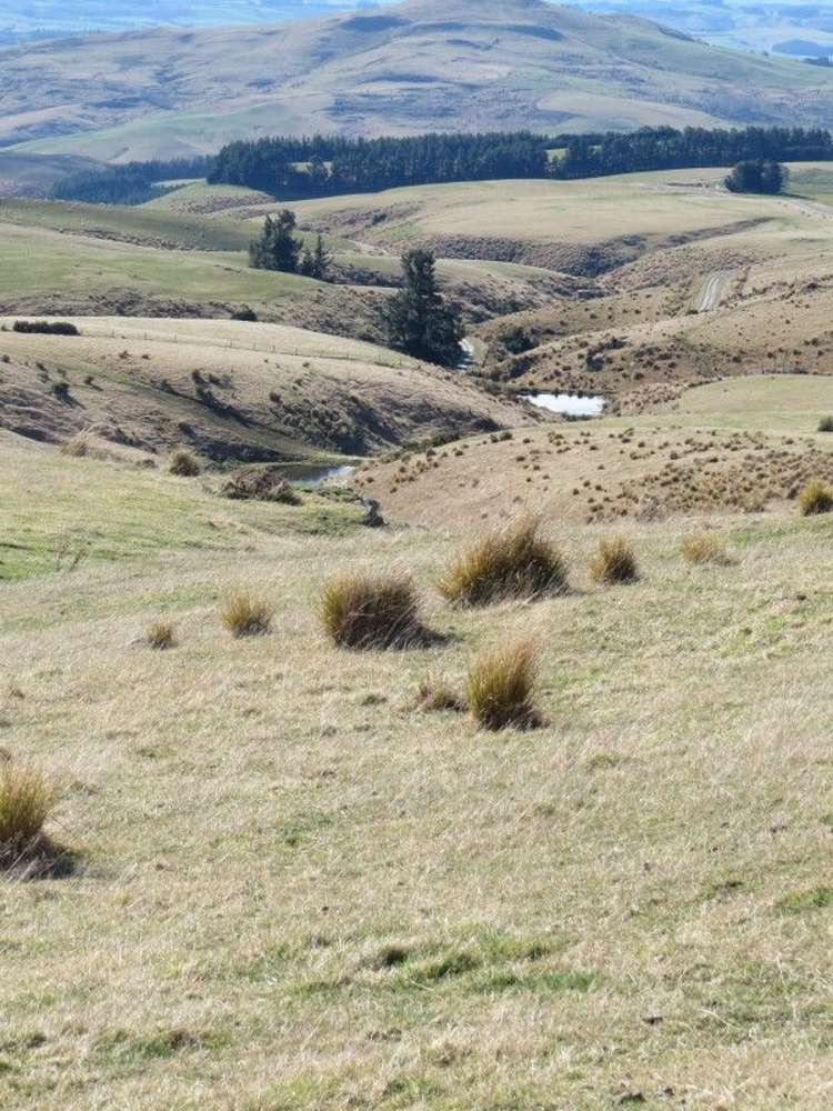 649 Kauru Hill Road Five Forks and Surrounds_23