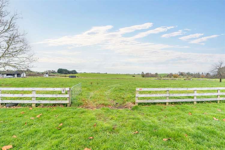 1007 Horotiu Road Whatawhata_7