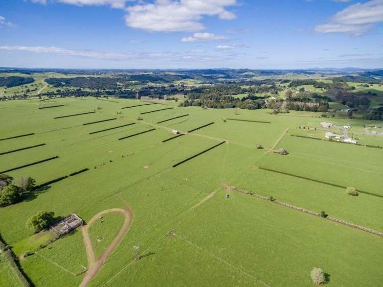 403 Te Ahu Ahu Road Waimate North_28