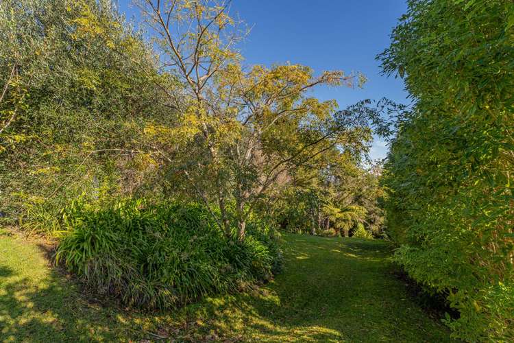 10 Rabbit Way Whitianga_34