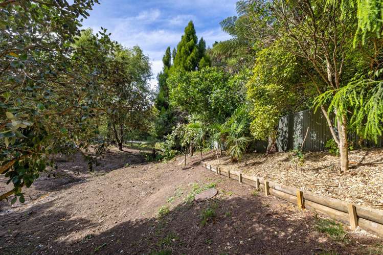 31 Norrie Avenue Raglan_65