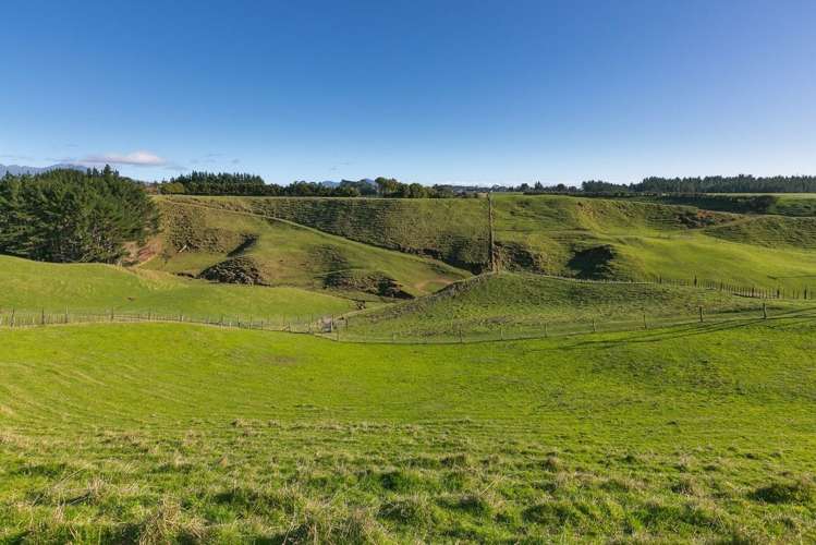 574 Mangorei Road Mangorei_7