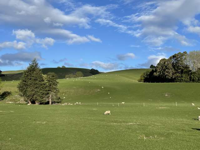 8 Munro Road Lawrence_2