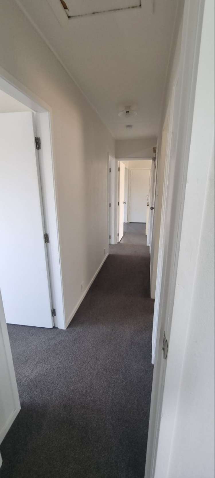 45 Collie Drive Pukehangi_7