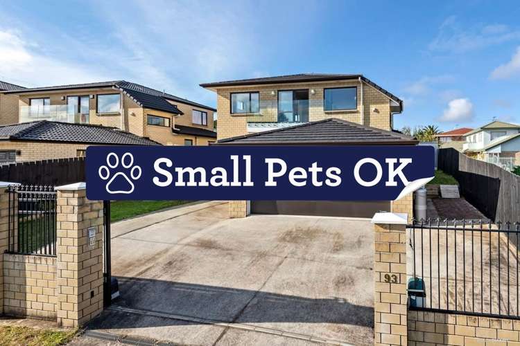 93 Waitaki Street Henderson_0