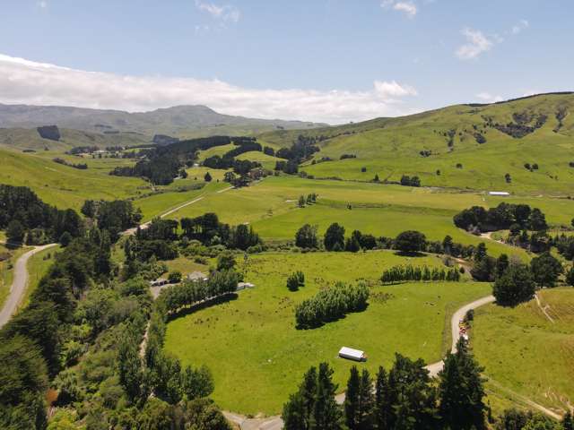 157 Waihi Valley Road Waione_3