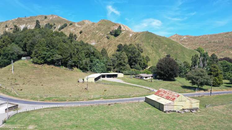 3779 Whanganui River Road (State Highway 43) Ruapehu-King Country Surrounds_16