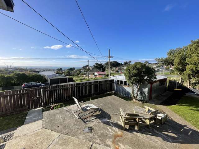 34 Theodore Street Bluff_1