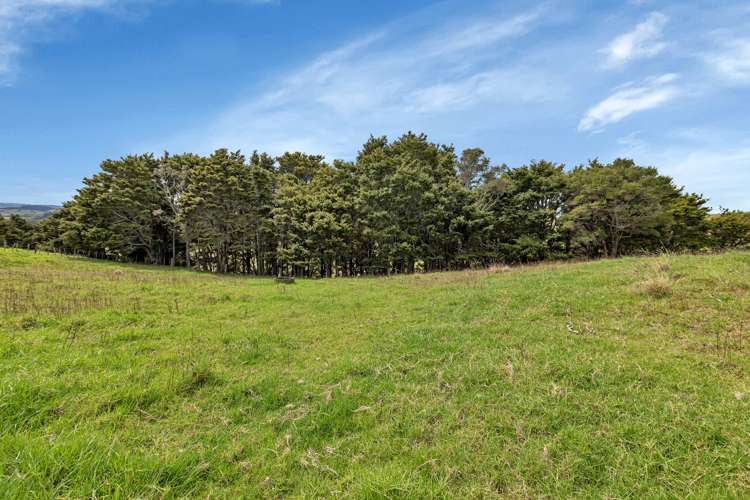 265 Sloane Road Mangapai and Surrounds_21