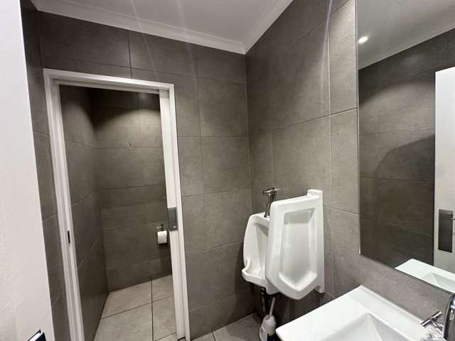 151 Parnell Road Parnell_4