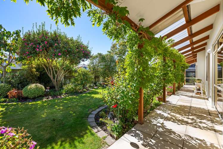 6 Livingstone Place Springlands_7